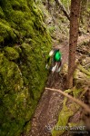 DS_100430_8744