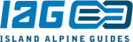 IAG logo